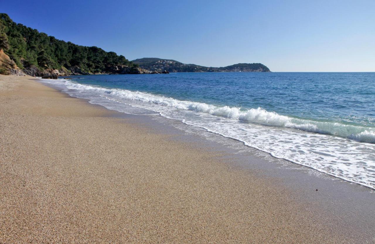 Magnifique Petit Cocon Bord De Mer Le Pradet Εξωτερικό φωτογραφία